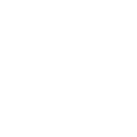 Assessment & Discovery